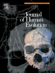 Early anthropogenic use of hematite on Aurignacian ivory personal ornaments from Hohle Fels and Vogelherd caves, Germany